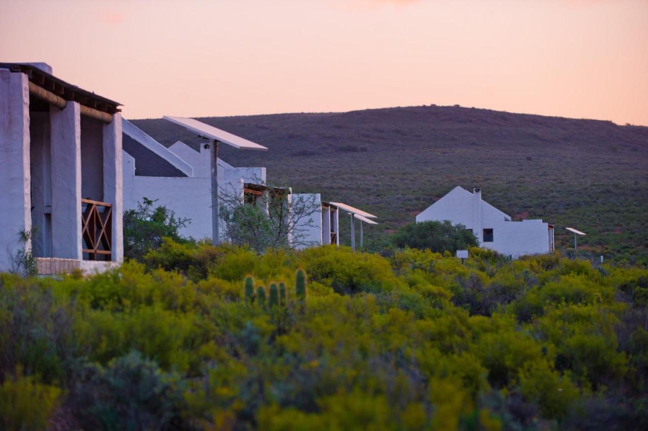 African Game Lodge Montagu Bagian luar foto