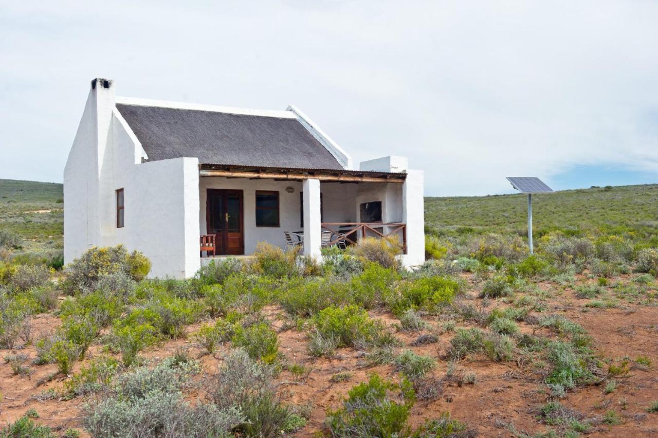 African Game Lodge Montagu Bagian luar foto