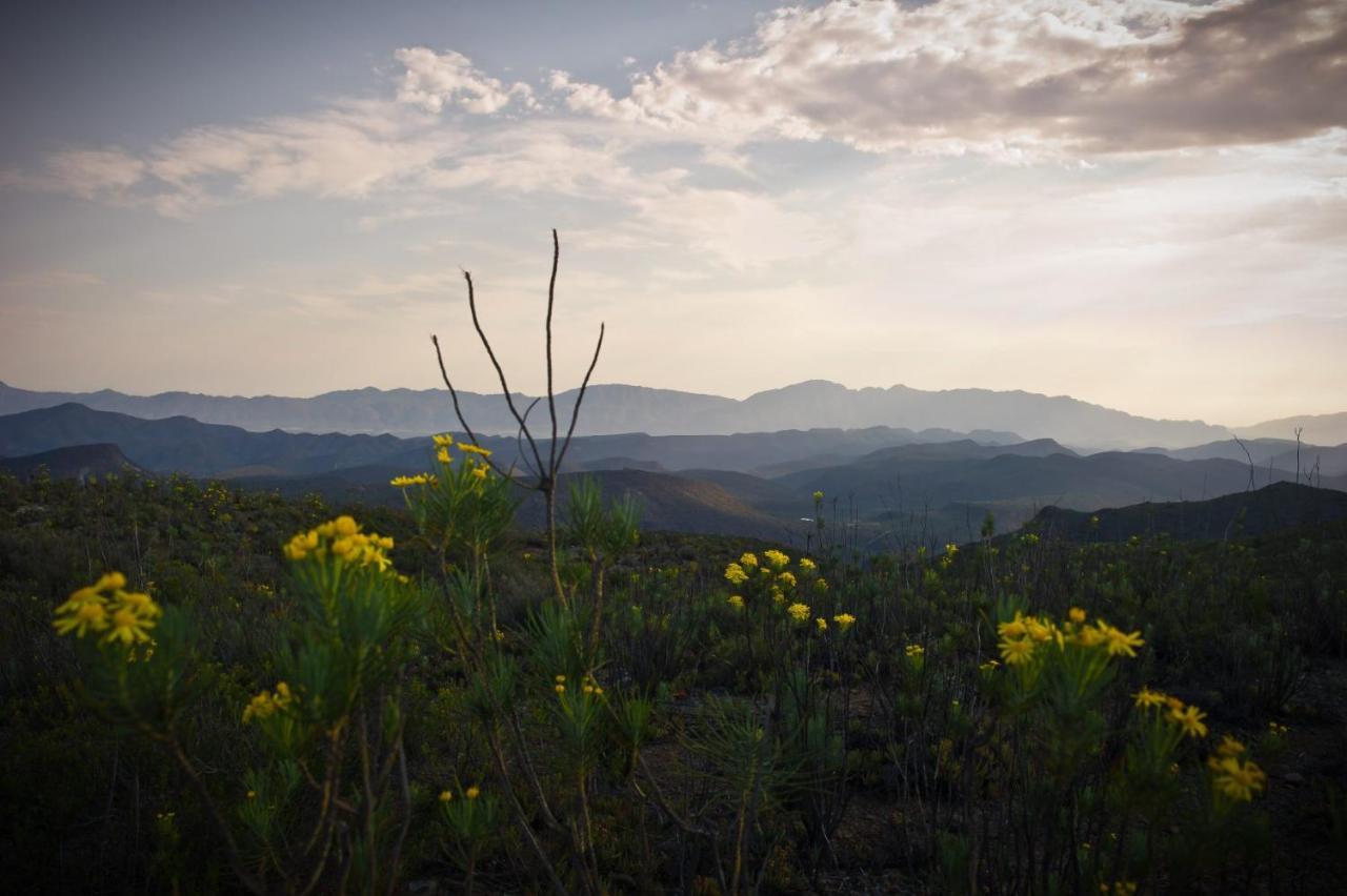 African Game Lodge Montagu Bagian luar foto