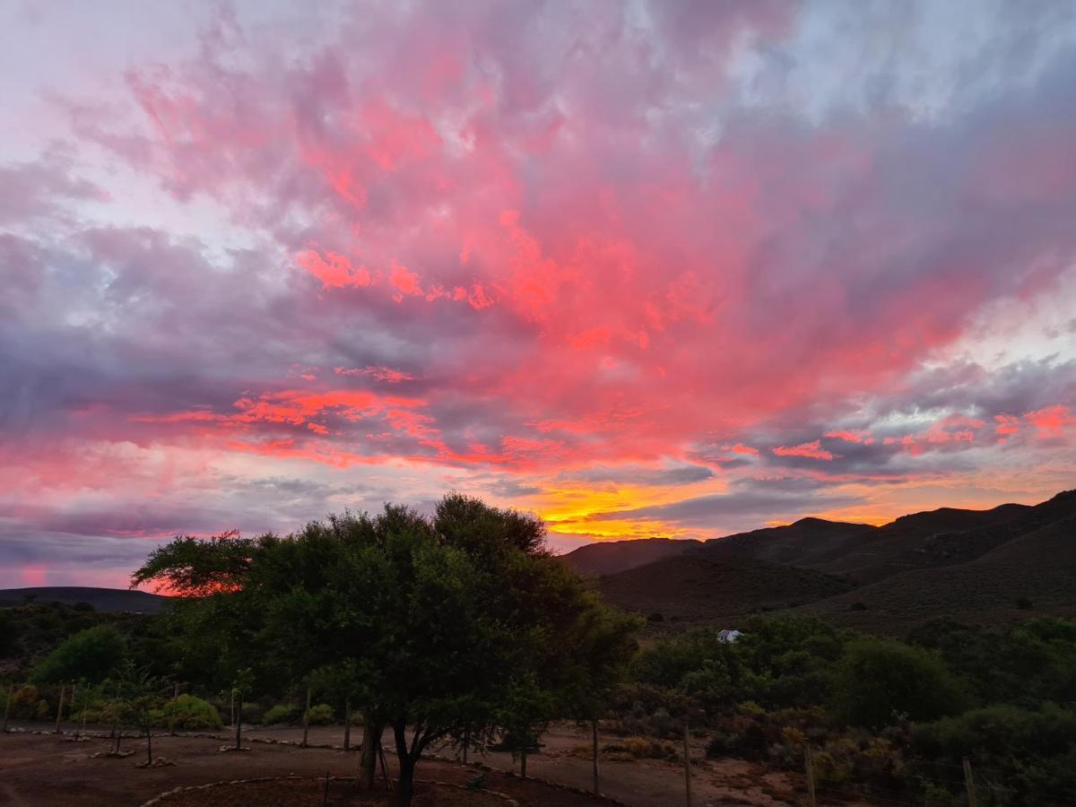 African Game Lodge Montagu Bagian luar foto